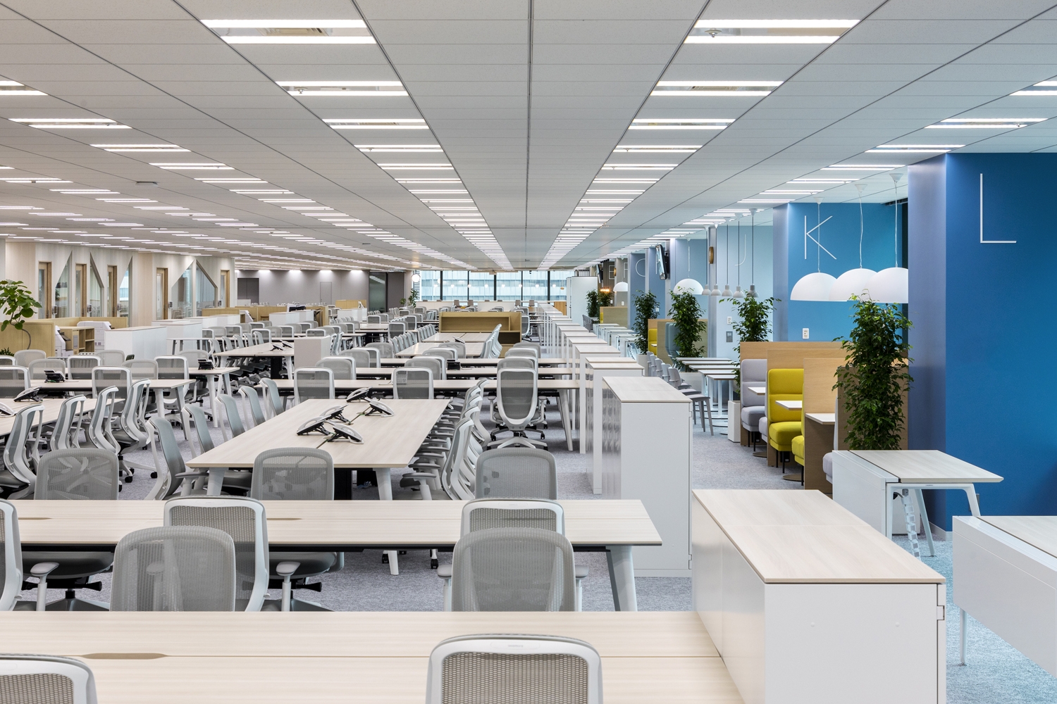 フリーアドレスデスクの選び方やおすすめ商品、設置事例を紹介コラムオフィス移転・レイアウト・デザインコクヨマーケティング