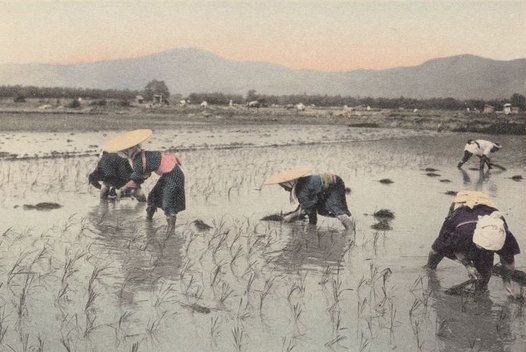 大人の「いじめ」が裁判になった日 ― 関川村の村八分 事件 新潟地裁新発田支判平成19年2月27日 と法の限界教育のエンタメ化計画 デジタル法学×お金×格闘技