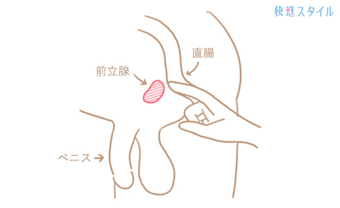 よくあるお悩み｜ドライオーガズム(メスイキ)でイク感覚が出ないです… | ドライオーガズム専門店