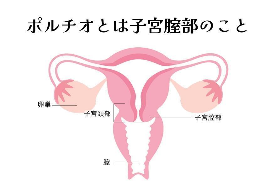 ポルチオセックスのやり方！ ポルチオ開発で奥イキするコツ※体験談あり |