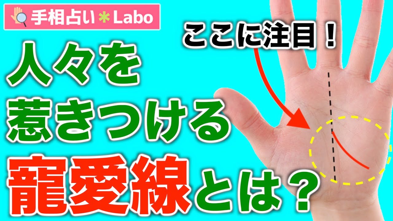 手相で金運を見るには？ お金に好かれる線の見方を手相学の先生に聞きました！ライフ 最新記事一覧PredeliStyle プレデリスタイル －暮らしを賢く、おいしく、シンプルに