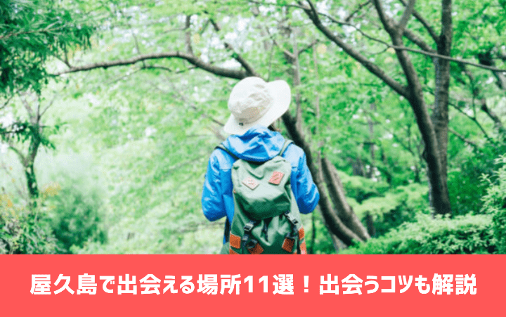 東京近郊】混浴デートOK！カップルにうれしい温泉・スパ5選