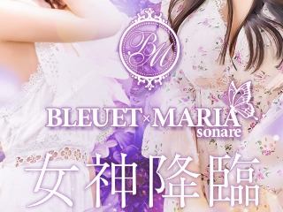 市川にこ(21):岐阜市【BLEUET×MARIA sonare】メンズエステ[ルーム型]の情報「そけい部長のメンエスナビ」