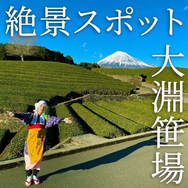 お～いお茶のCMロケ地『大淵笹場』で富士山と茶畑を撮影』富士 静岡県 の旅行記・ブログ by *JY*さん フォートラベル
