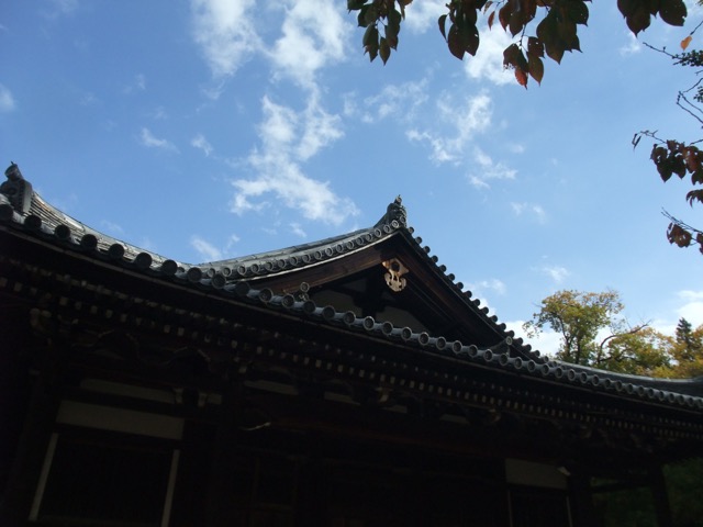 大仏蛍の見れる場所は？東大寺のホタル狩りの時期と時間奈良散歩