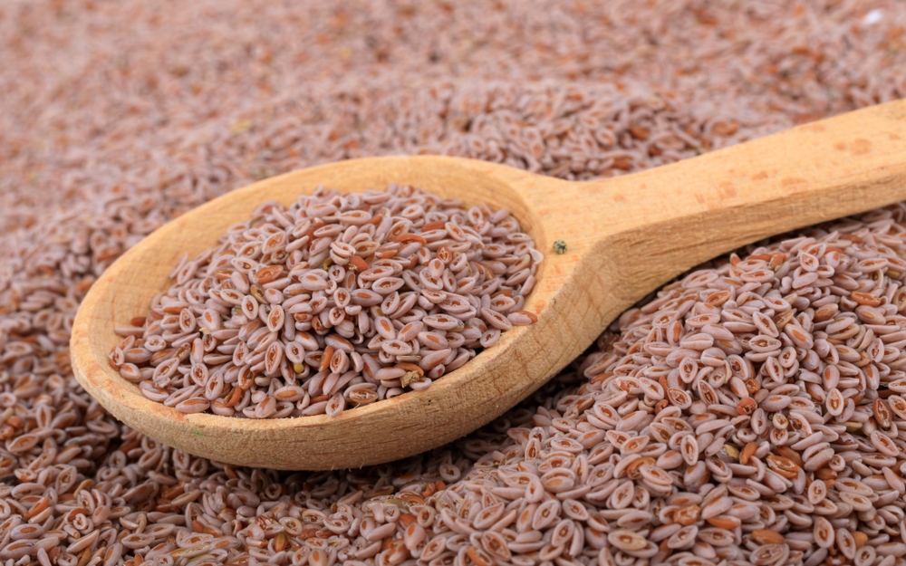 洋車前子有副作用嗎？4撇步推薦挑選洋車前子產品&注意事項！臣鋐生技有限公司