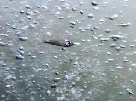 河川利用上の注意ご来訪の方独立行政法人水資源機構 利根導水総合管理所