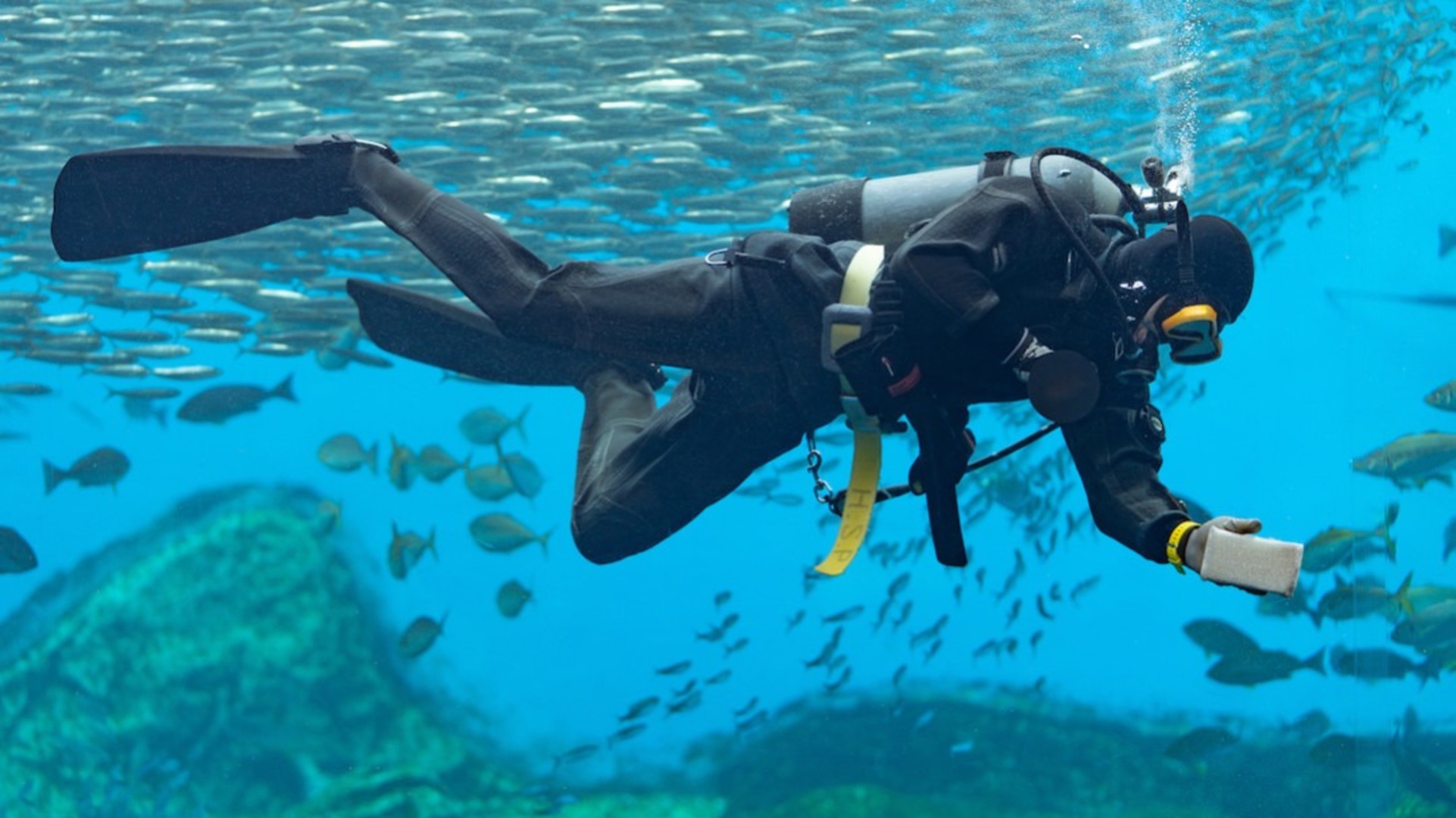 潜水士とは？潜水士の仕事・年収と仕事に必要な資格について紹介 施工管理の求人・派遣 俺の夢