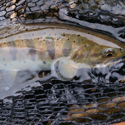 カーナビ起動画面変更 トヨタ プリウス・30系 by ぱぱさ - みんカラ