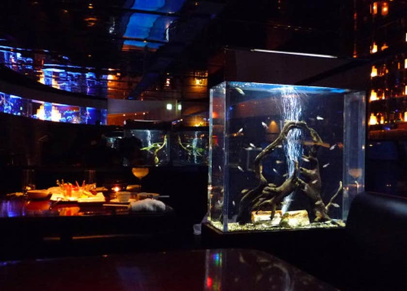 公式 銀座 水響亭