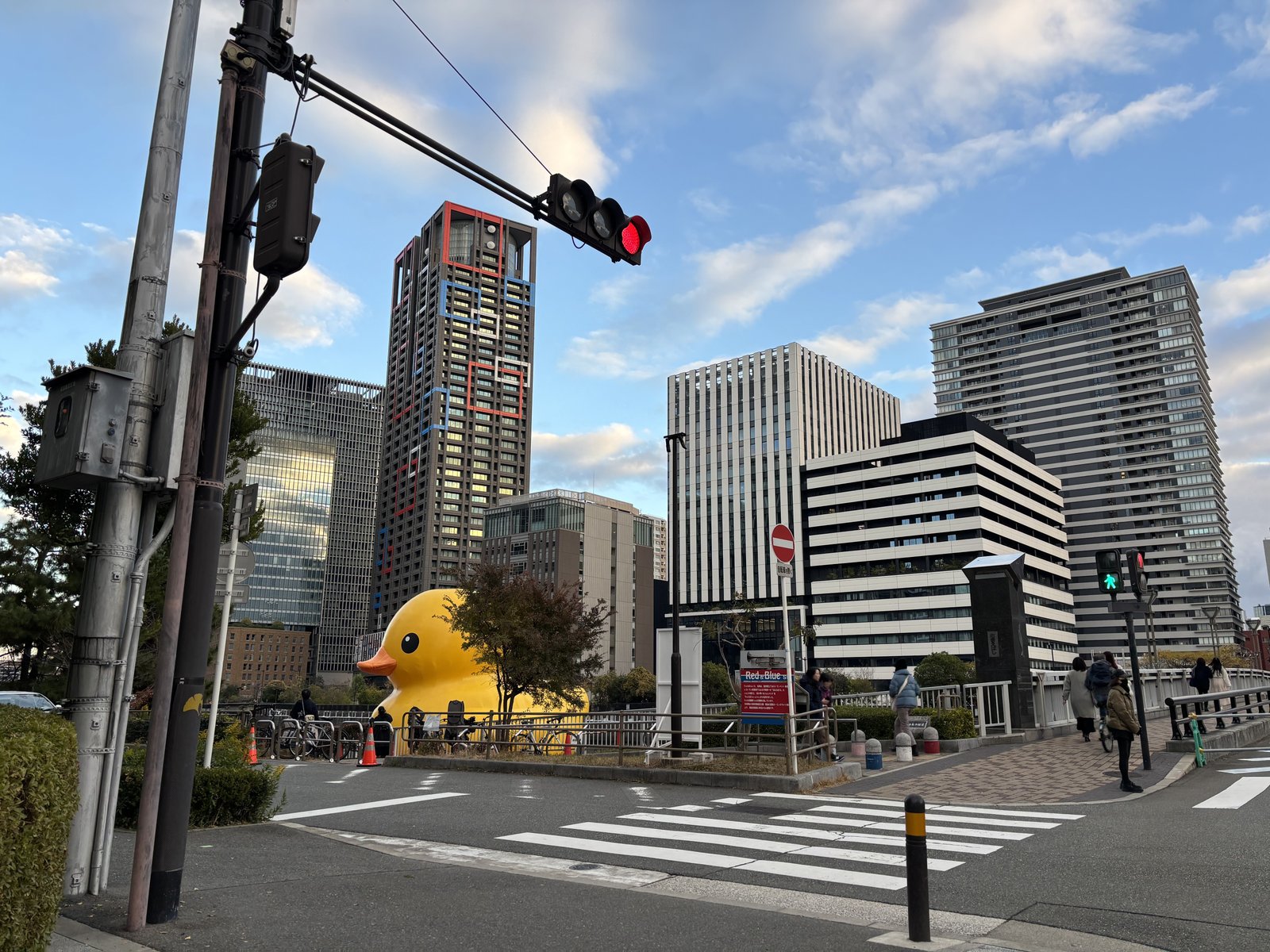 ラバーダック in 水都大阪フェス2015 夜景 大阪