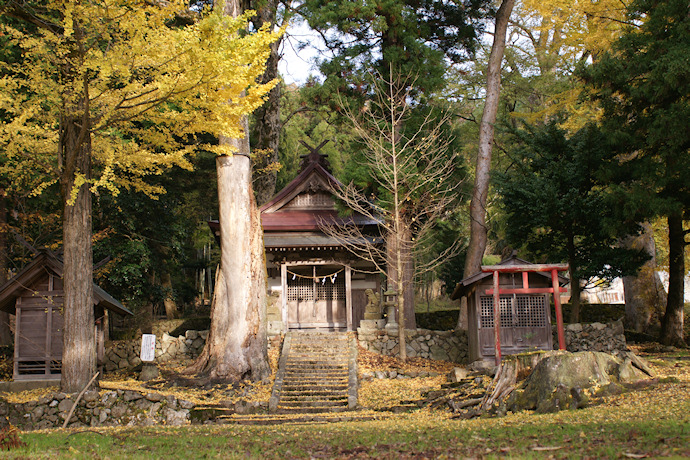 筑前国一宮 筥崎宮・住吉神社⛩️ |