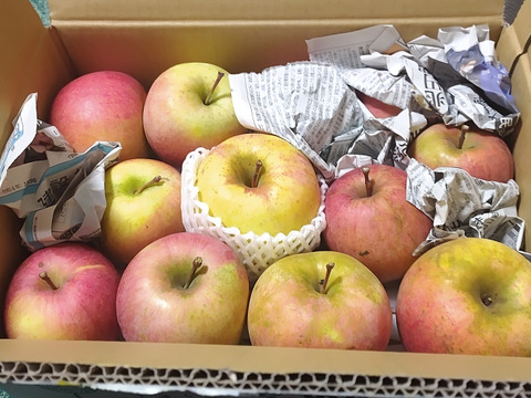 サンふじりんご ２玉入 両備まごころネットスーパー楽天全国スーパ