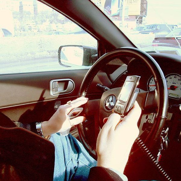 シロアリの女王と。バイオミメティクス藤えり