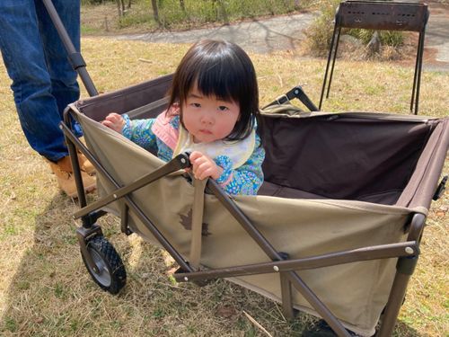楽天市場 キャリーワゴン 子供 ブランドロゴスアウトドアスポーツ・アウトドア の通販