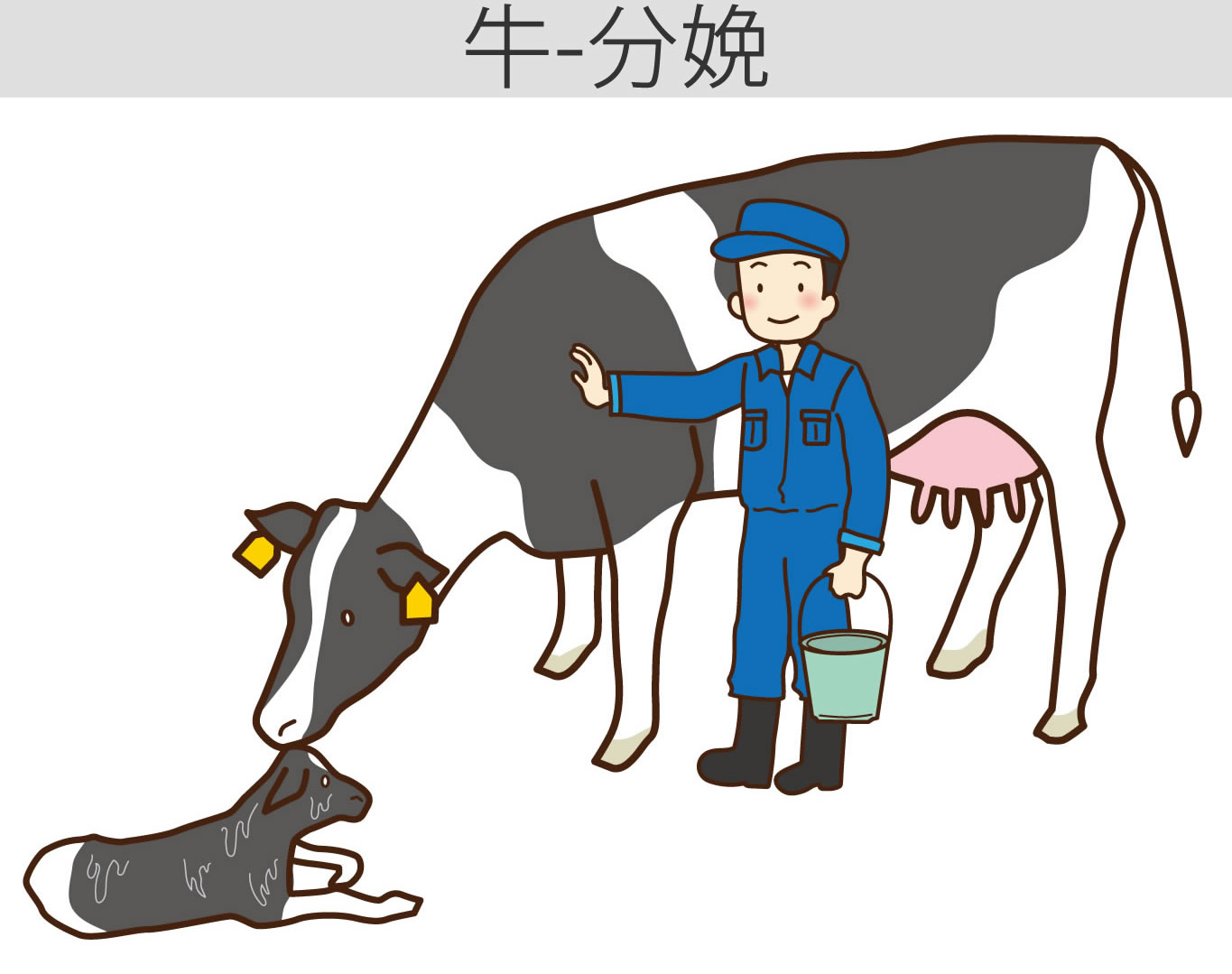 農業・農村リアル素材 写真集 畜産- 農政部農政課