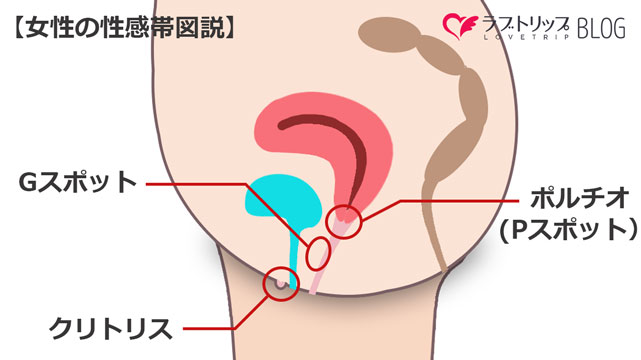 ポルチオ開発コースの説明と補足｜女性用風俗・女性向け風俗なら【西麻布秘密基地】