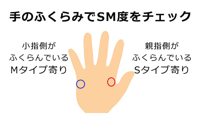 SとM (幻冬舎新書 か 6-1)