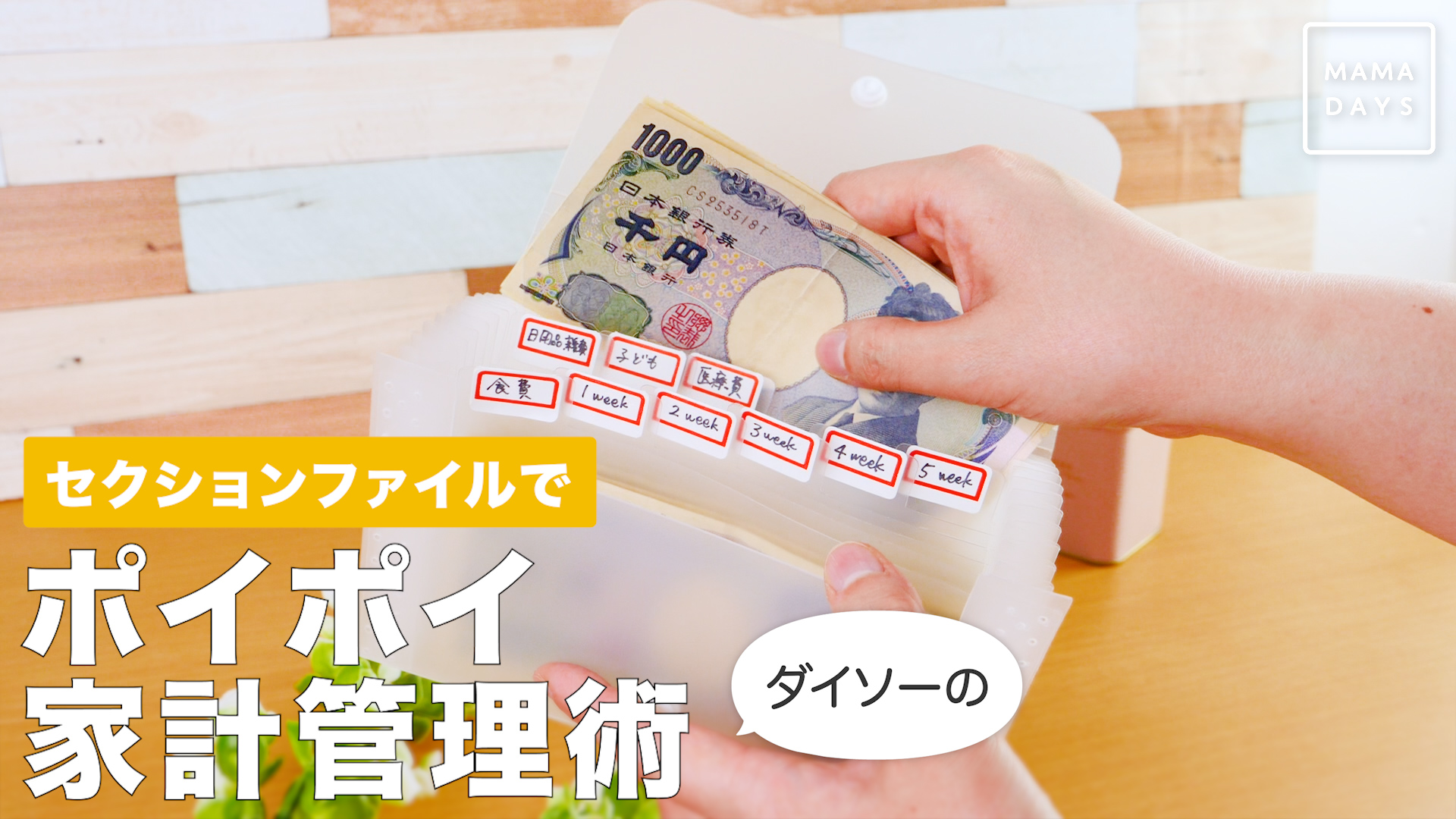 楽天市場 ＼楽天ランキング1位現役FPが監修 家計簿ポーチ 家計簿 ポーチ a5 a6 バインダー 家計簿管理ポーチ お金管理 袋分け家計簿ポーチ ファスナーポケット15個入 ファイル 家計簿 袋分け 家計管理 ポーチ 家計簿手帳 シンプル バインダー PUレザー : Dimova