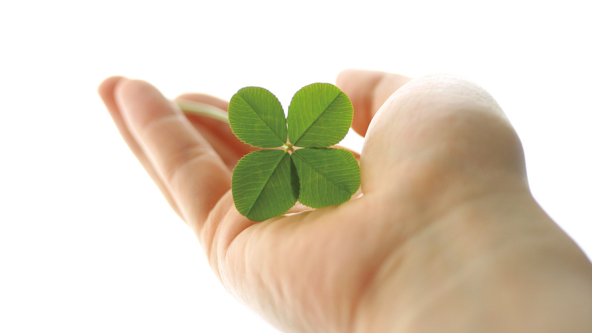 2025年最新 元気キッズ新座園の保育士求人 正職員ジョブメドレ