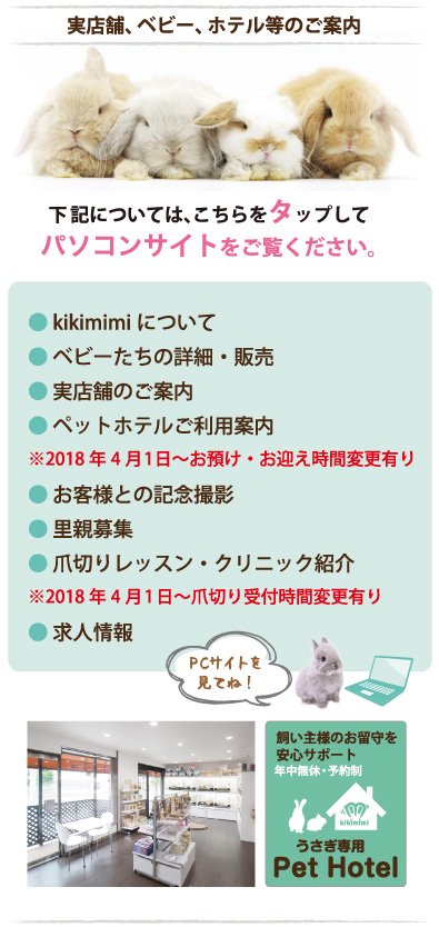 大阪市都島区】おばんざい割烹「三月のうさぎ」で美味しい料理とお酒、そしておしゃべり～（ぽんた） - エキスパート