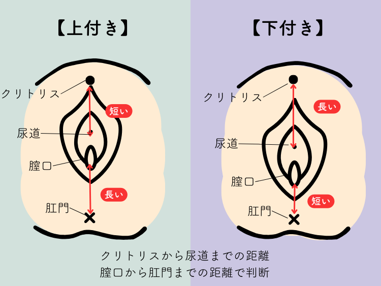 大好きなのにイケない！セックスで“感じる”ためのスイッチってどこ？ | ViVi