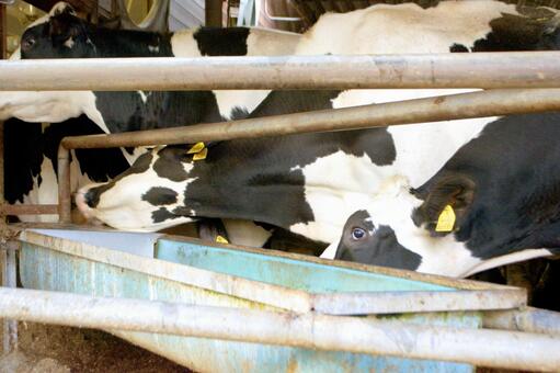 酪農家」のイラスト素材・ベクター画像 - イメージマートimagemart