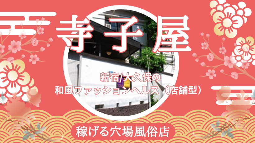 新宿平成女学園 - 新宿・歌舞伎町店舗型ヘルス求人｜風俗求人なら【ココア求人】