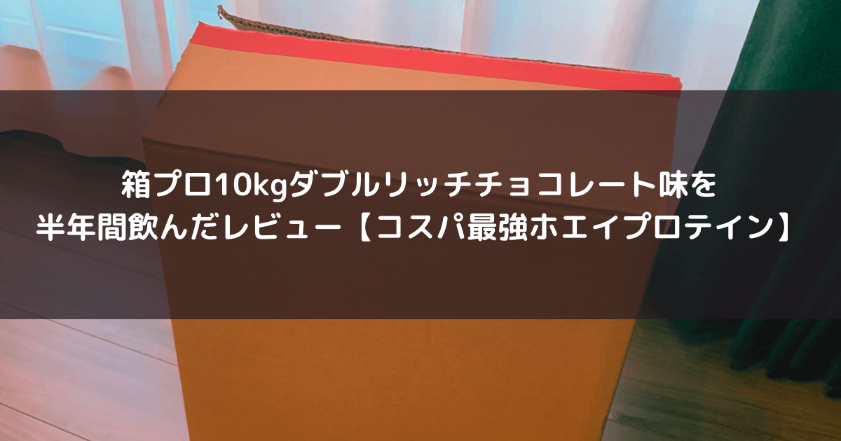 Appleの初売りセールでとうとう AirPods Pro を買ってしまう – 酔人日月抄外伝