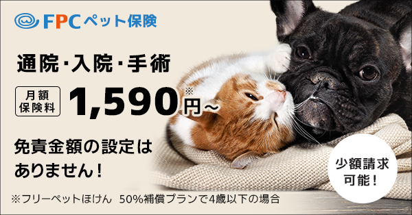 ペット保険は入るべき？「加入する・加入しない」の判断ポイントを解説ペットニュースストレージ ペット保険のペット&ファミリー損保