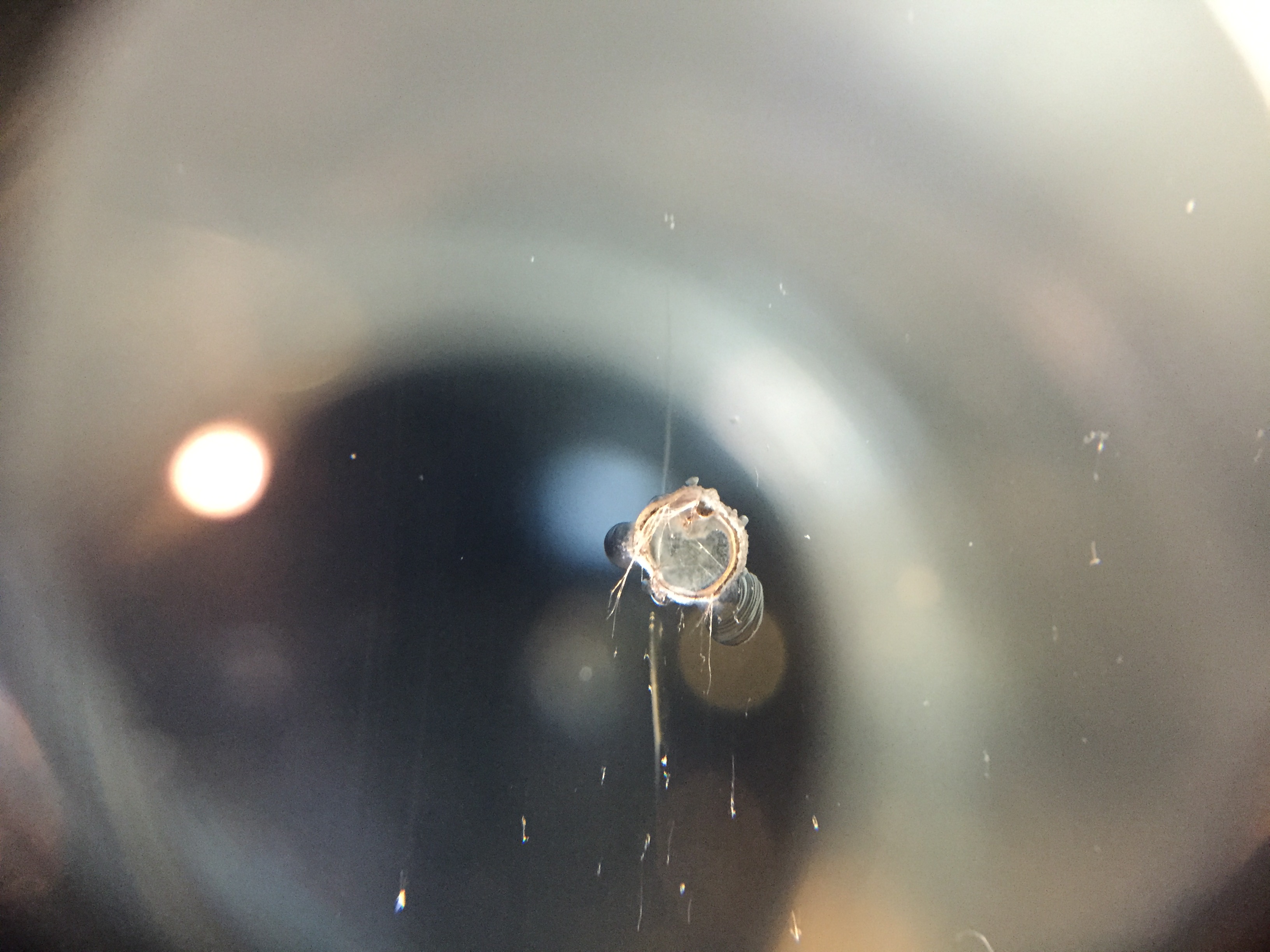 BMWの泣き所フロントガラス下のモールの劣化パーツ交換ですっきりリフレッシュ♪Studie スタディ