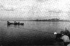 東京の有名神社 佃煮発祥の地 佃島の住吉神社参拝日本のゆかしい神社旅