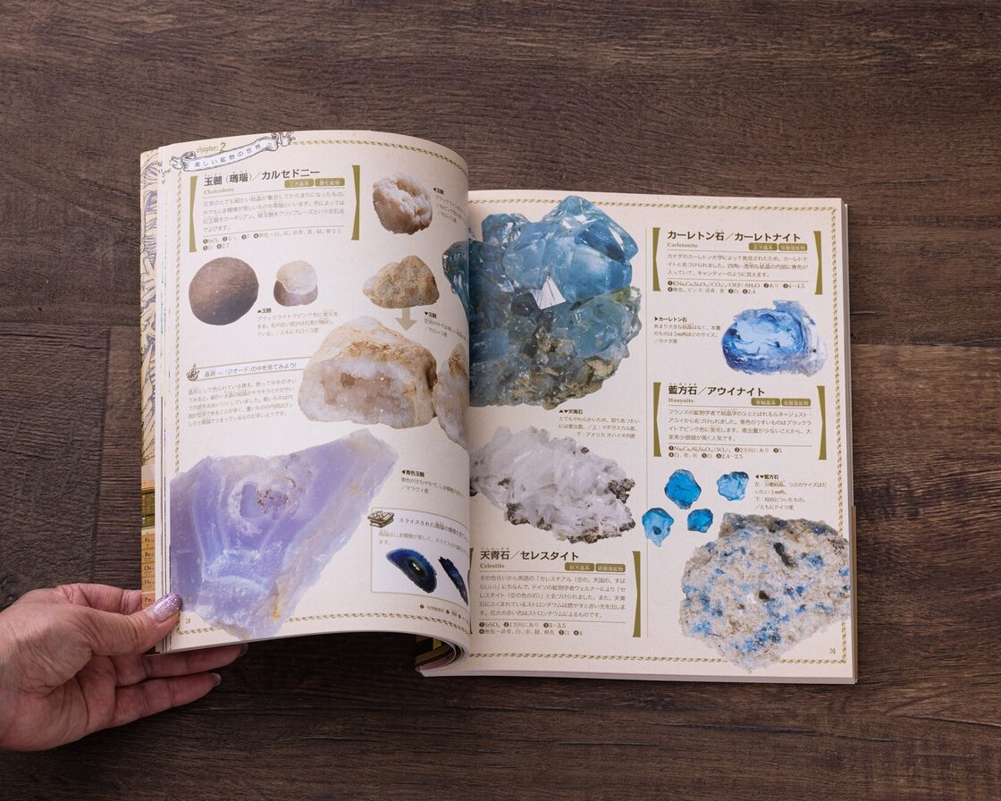 教職員・講師紹介 - 日本カジノスクール