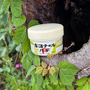 癒合剤 カルスメイト 150g ×25個 富士薬品工業 癒合剤 木 保護 剪定 癒合
