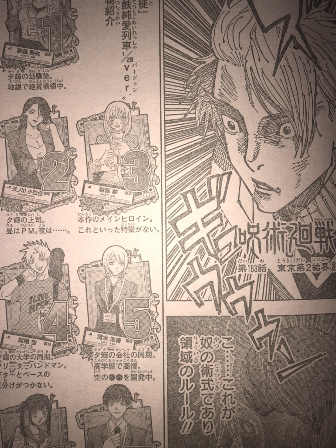 呪術廻戦 秤、「領域」の本質を知り、無制限の呪力を展延せよ - amedotのブログ