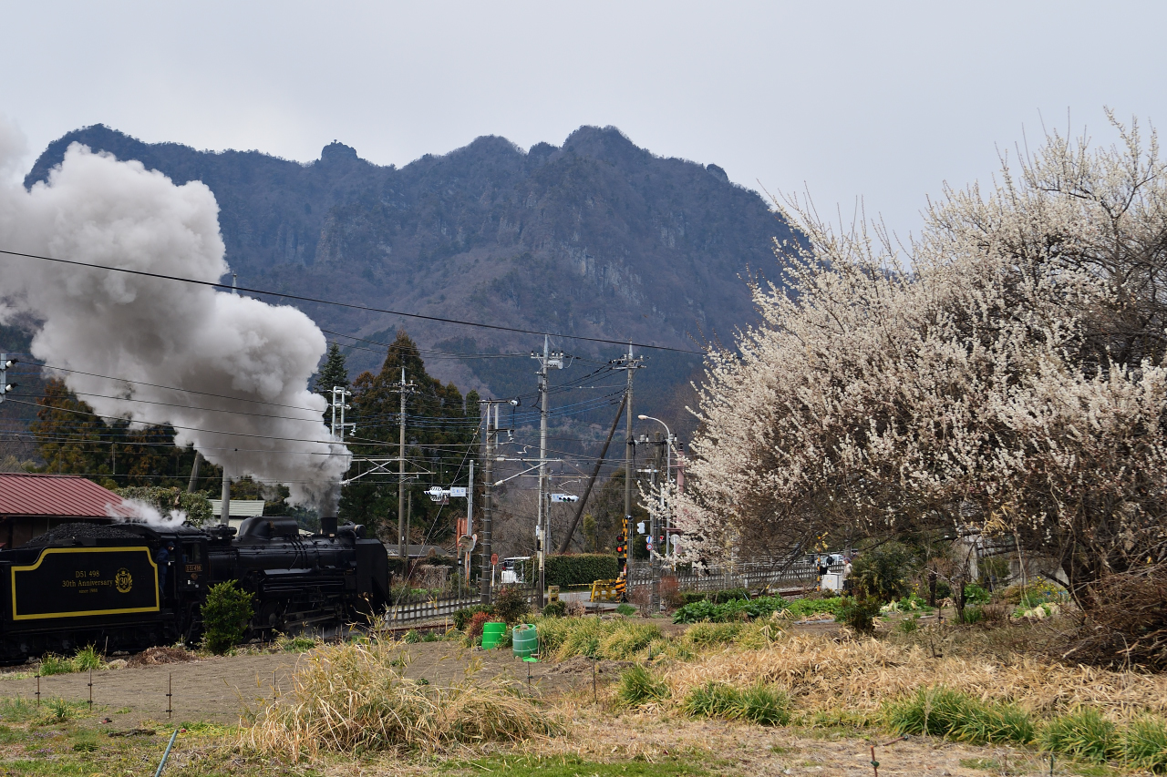 2013.02.10 黒坂～根雨 榎踏切- Team BONNETS BONNETS-Hの撮影記録
