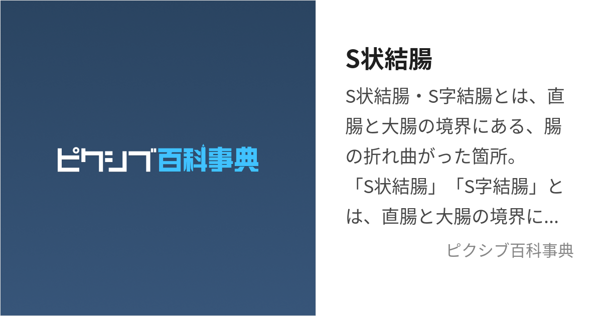 アナルセックス危険性 肛門にも性病感染する？|天神マイケアクリニック