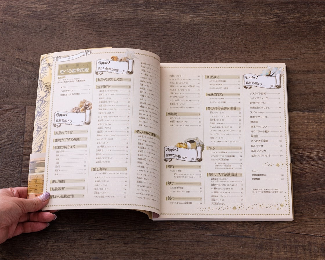 Satoh Kayoko 佐藤加代子Members：ABC順私流の植物画