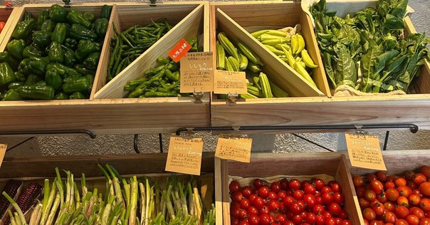 旅する八百屋”青果ミコト屋が地元青葉区に拠点『Micotoya House』を作った理由 - SPRAS AOBADAIスプラス青葉台