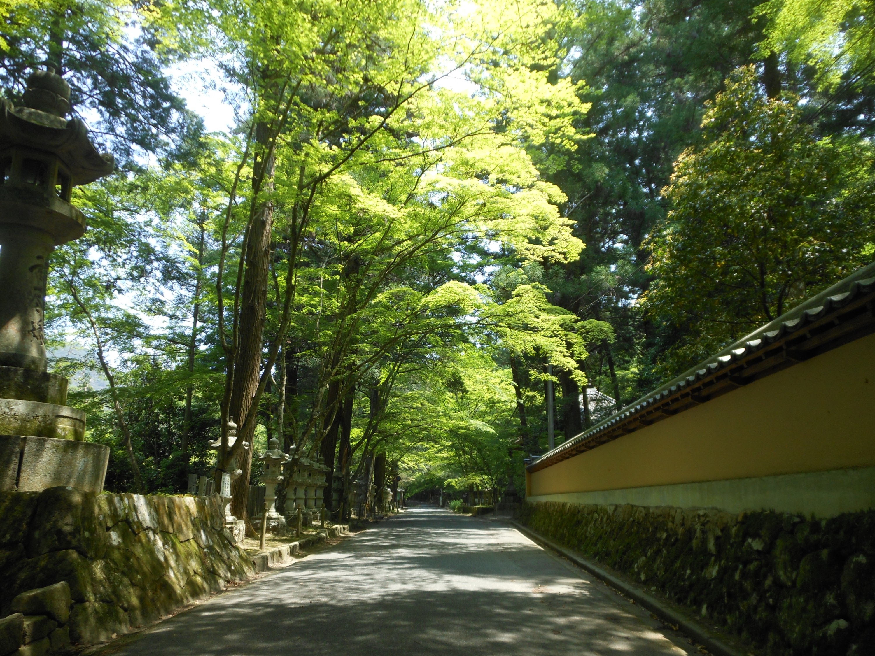 県内屈指の紅葉の名所「佛通寺」に行くガム噛む暇があったらブログ書け！-観光、旅行、ホテル、イベント情報発信