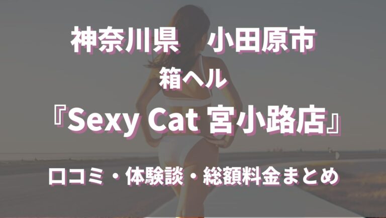 小田原市のスナック開業のため風俗営業1号（社交飲食店）許可を取得 | 行政書士河野翔事務所