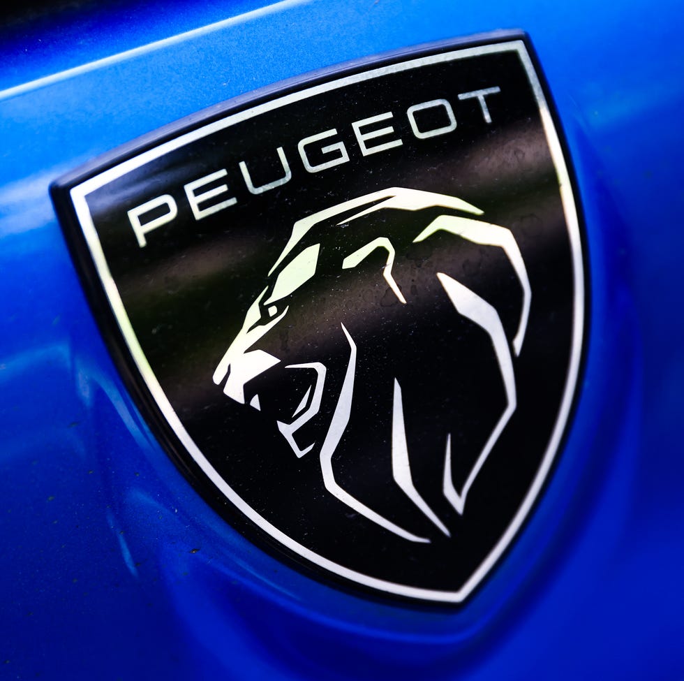 Amazonライオン頭 三色 フロントグリルと貼るタイプ2種 エンブレム 車の装飾 カーアクセサリ 3Dアルミニウム ステッカー トランクデカール サイン・マーク 耐衝撃性 耐久性 カスタムカー 改造車 マイテン ボディ車の両側 完全防水フロントグリル ブロンズ並行