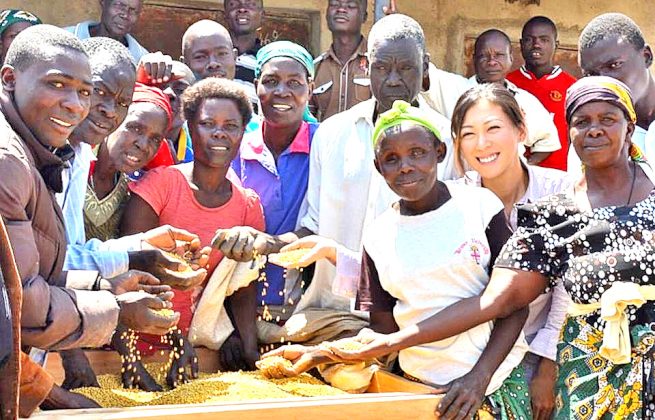 大豆の栽培は暦に合わせた作業が重要！ 栽培方法の完全マニュアルマイナビ農業