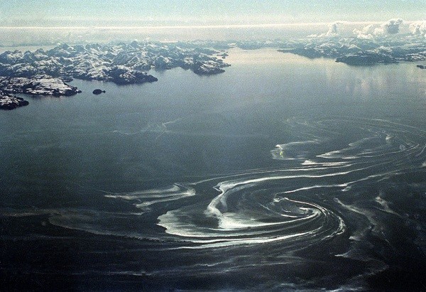 記事 ラッコと原油流出：エクソン・バルディーズ号原油流出事故から25年The Exxon Valdez Oil Spill: 25 YearsAgo Today - らっこちゃんねるSea Otter Channel - ラッコ情報・記事・動画・写真をご紹介