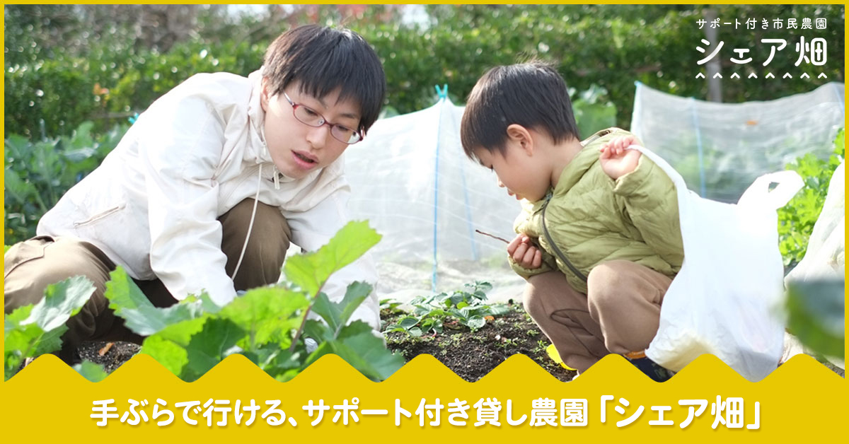 羽生名人の名言から見るマーケティングの考え方。アナーキーマーケティング