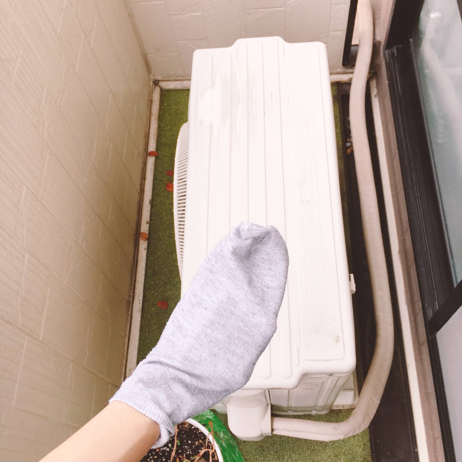 楽天市場 靴下 掃除用品日用品雑貨・文房具・手芸 の通販