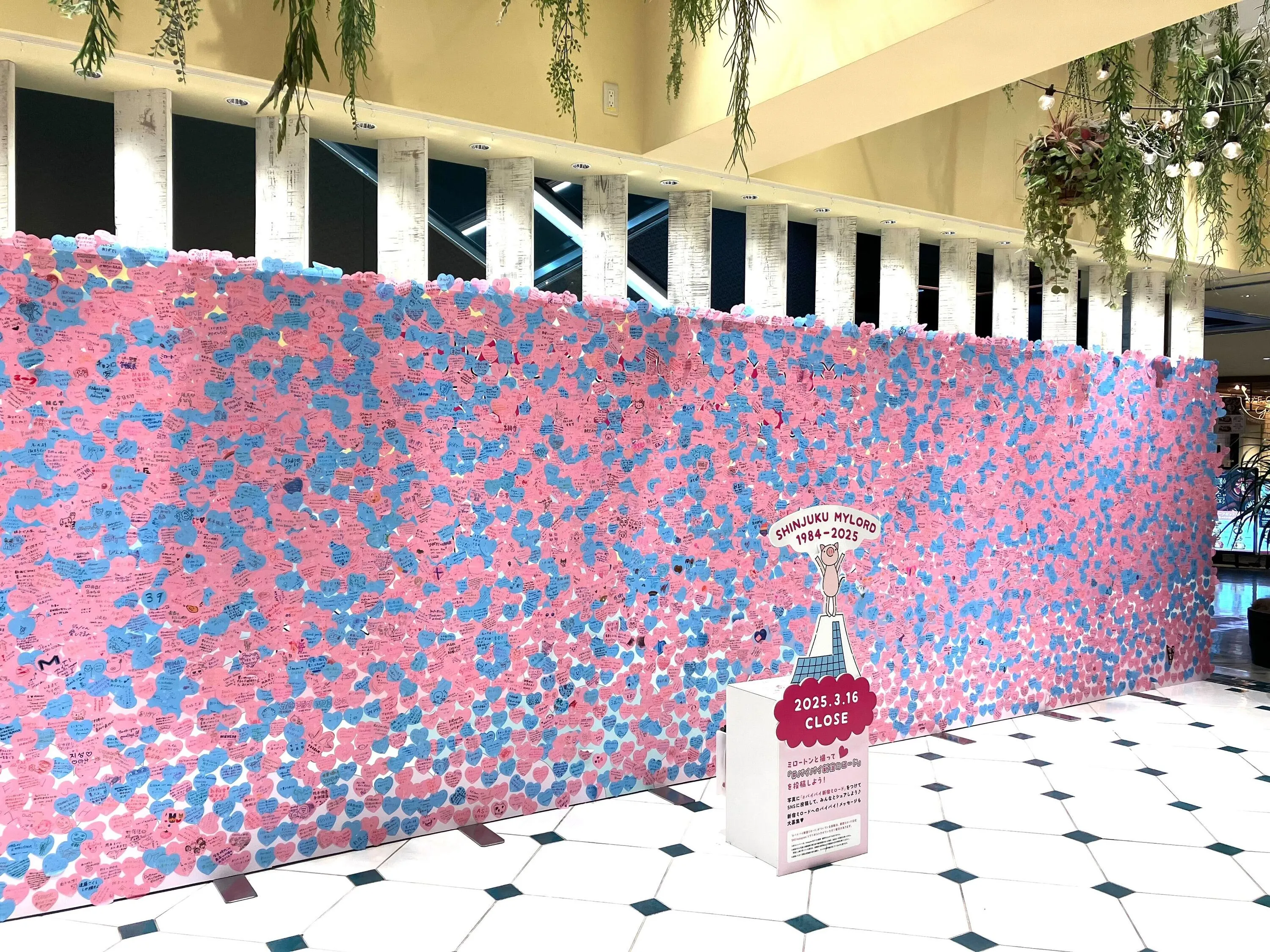 閉店 Hawaiian Pancake Factory 新宿ミロード店開店閉店.com新宿区新宿区民ニュース