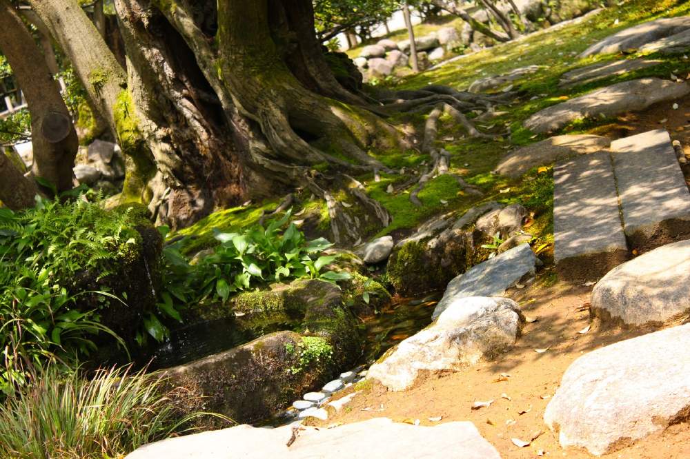 Amazon.co.jp: 名言「売られた喧嘩は買わねばならぬ」手書き書道色紙額 受注後の毛筆直筆 千言堂: 文房具・オフィス用品