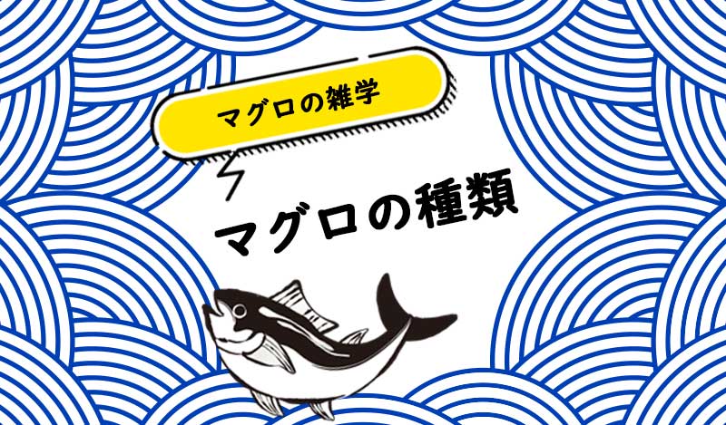 Amazon.co.jp: 【寿司総合卸売スシックス】寿司ネタ 本マグロ 中トロスライス 約10g×10枚