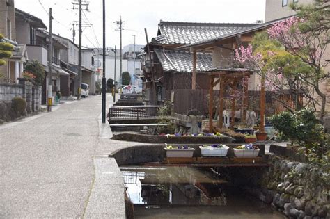 マイネハイマート・福岡県朝倉市頓田・甘木徒歩23分